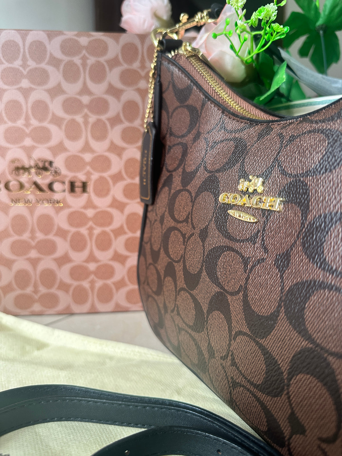 Co@ch Teri Hobo Signature - Dark Brown BOX PACKING